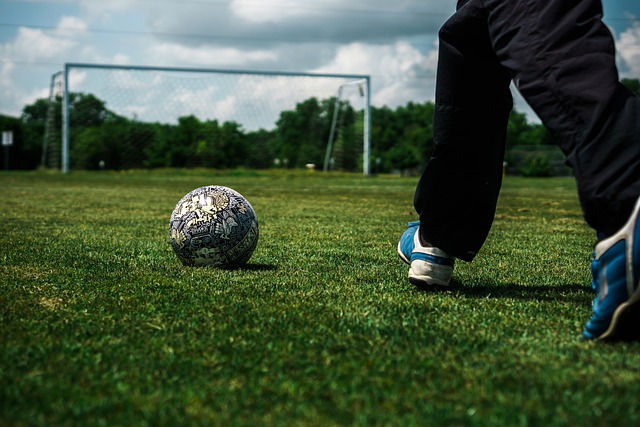 体系的完善 体系的完善