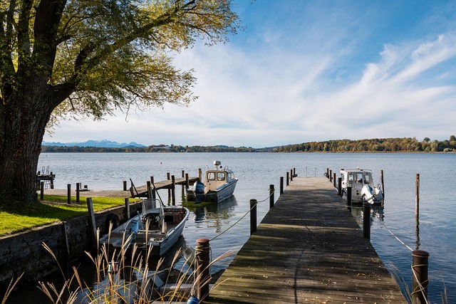 信的篮球智 信的篮球智