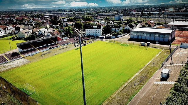 王冰玉的最 王冰玉的最